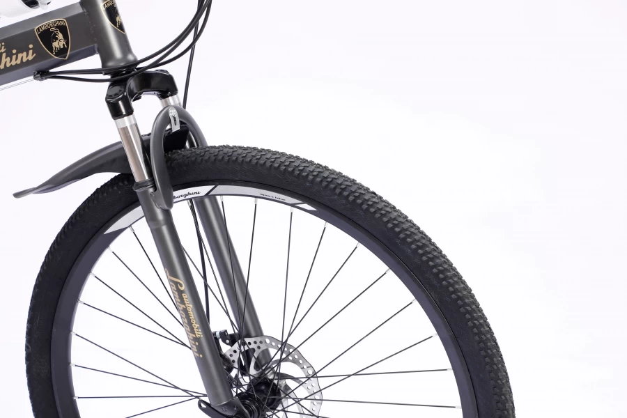 Velosiped Lamborghine SD-028-29L